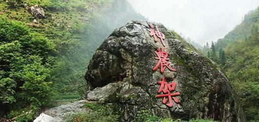 本周六、日深圳博物馆、深圳书城双场精彩的琥珀讲座+新书首发